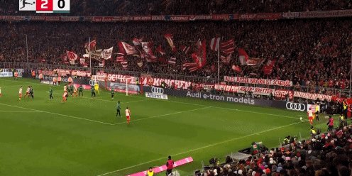 1702856328426075160.gif br.gif